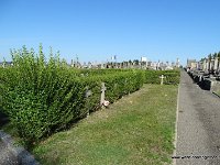gemeentelijke begraafplaats Limoges (5)