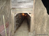 DSC07639