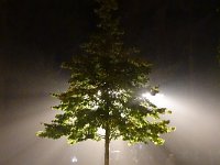 DSC07648
