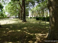 DSC06706
