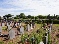 DSC03011