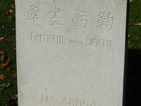 DSC05385