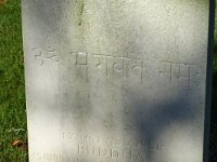 DSC05387