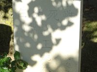 DSC05440