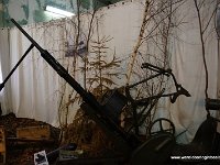 DSC02079