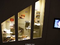 DSC05801