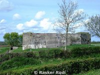 DSC00295