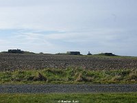DSC00176