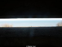 DSC00179