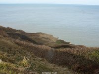 DSC00197