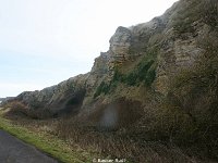 DSC00202