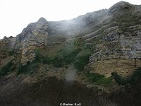 DSC00204