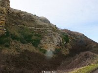 DSC00206