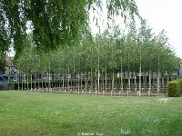 DSC00556