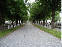 DSC01166