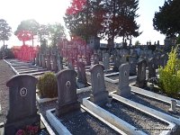DSC04440