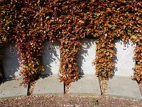DSC09878