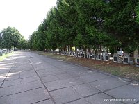 DSC01206