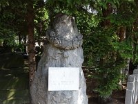 DSC01233
