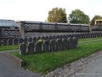 DSC04966