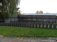 DSC04967