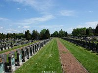 DSC09904