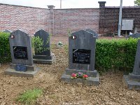 DSC09687