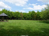 DSC05946