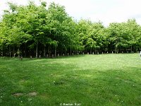 DSC05947