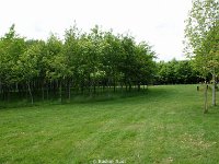DSC05954