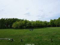 DSC05955