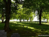 DSC00397