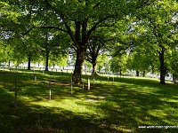 DSC00405