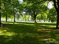 DSC00406