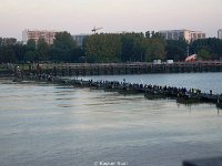 SONY DSC