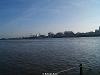 DSC08386