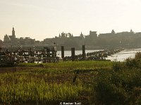 DSC08395