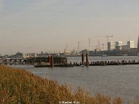DSC08404