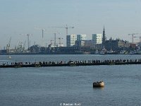 DSC08417