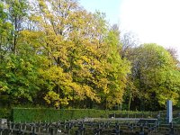 DSC04930