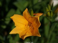 DSC01248