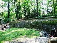 DSC04709