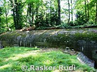 DSC04710