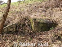 DSC03636