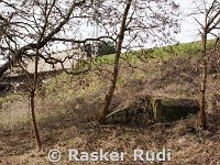 DSC03641