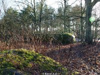 DSC09895