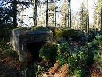DSC09900