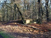 DSC09901