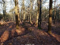 DSC09904