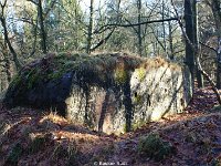 DSC09905